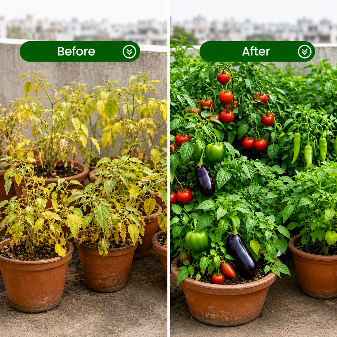 5 Benefits of Organic Fertilizer for Your Garden